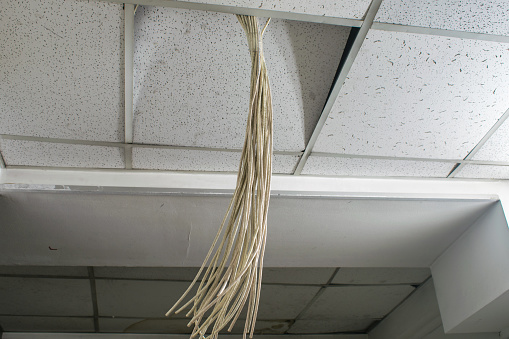 False Ceiling Data Cable A Lot Of White Communication Wires Hang From A False Ceiling Many ...