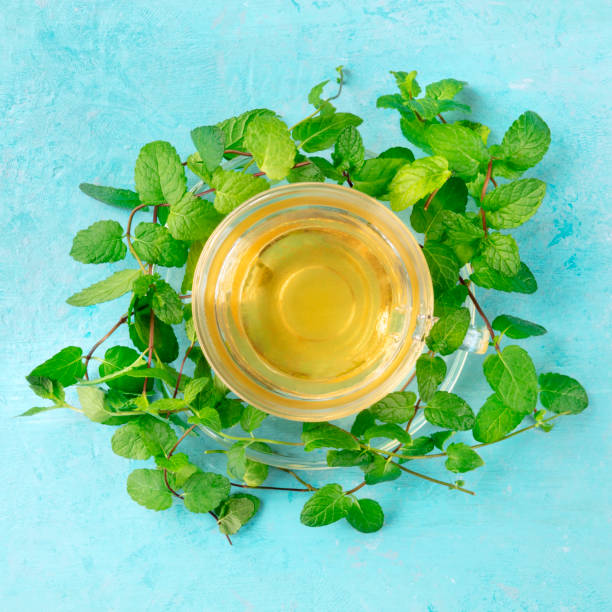 istock Mint tea cup, shot from the top on a blue background with vibrant fresh leaves, square image 1183303103