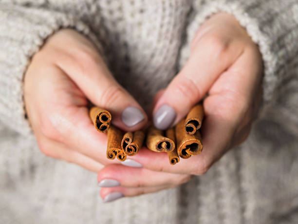 baccelli di cannella nelle mani di una ragazza. una donna con un maglione di lana a maglia tiene la cannella tra le mani. atmosfera accogliente - wood rustic close up nail foto e immagini stock