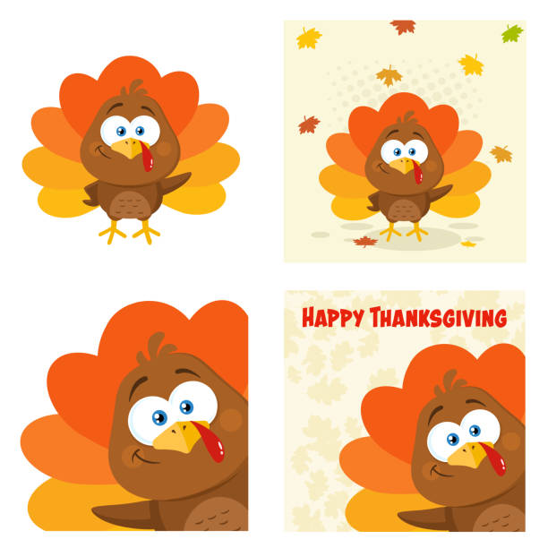 Cute Turkey Bird  Cartoon Character Set 2. Flat Vector Collection vector art illustration