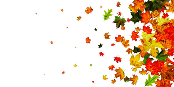istock Autumn leaves pattern. Falling October background. Thanksgiving season concept 1183309358