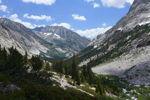 istock Kings Canyon National Park 1183309634