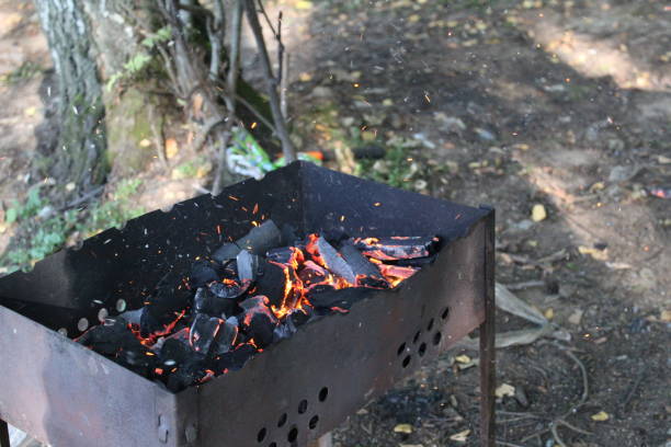 istock sparks and fire in the grill on a picnic 1183309802