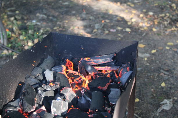 istock sparks and fire in the grill on a picnic 1183309803