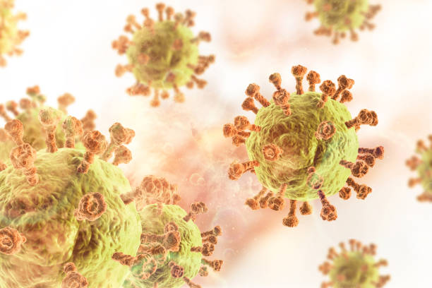 istock Viral disease, virus, bacteria, cell, 3d illustration 1183310655