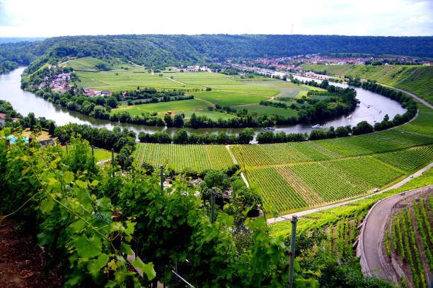 istock South German landscape with vineyards along a river loop 1183310699