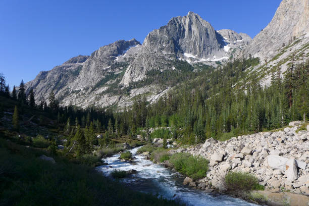 istock Kings Canyon National Park 1183310781