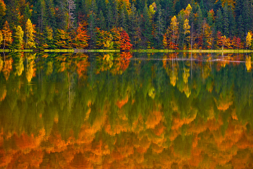 Autumn scenery at the lake, reflection in the water of colorful, vibrant forest trees