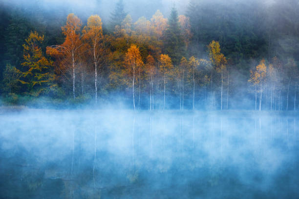 Autumn scenery at the lake, smog and vibrant colorful trees