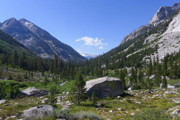 istock Kings Canyon National Park 1183311026