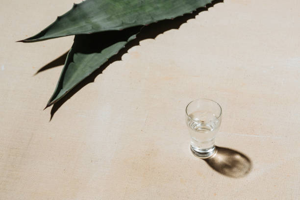 멕스칼과 아가베 - tequila shot glass glass tequila shot 뉴스 사진 이미지