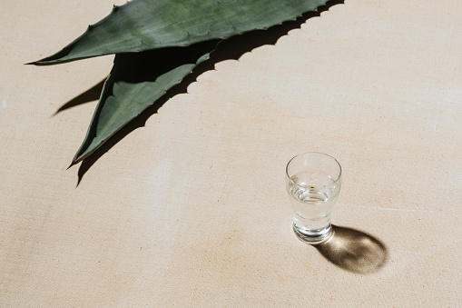 Mezcal is a mexican distilled alcoholic beverage made from any type of oven-cooked agave.