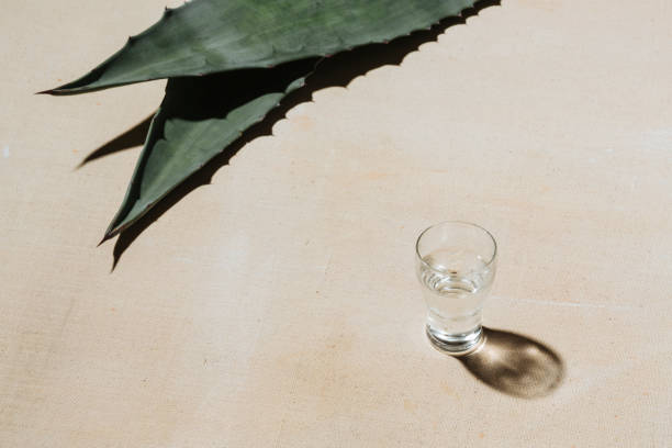 Mexcal and agave Mezcal is a mexican distilled alcoholic beverage made from any type of oven-cooked agave. tequila slammer stock pictures, royalty-free photos & images