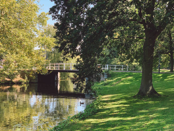 istock Scenic View Of Park By Lake 1183313905