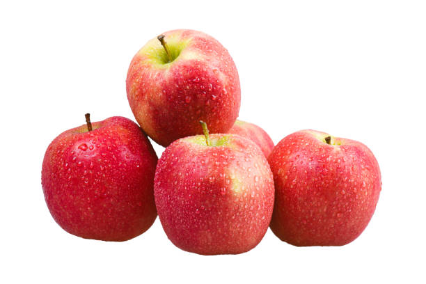 gruppo di varietà fuji di mela rossa fresca isolata su sfondo bianco - apple gala apple fuji apple fruit foto e immagini stock