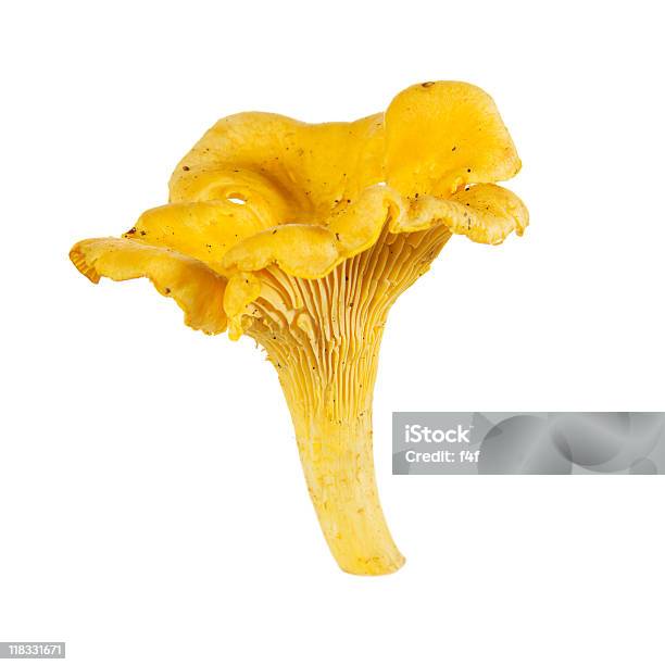 Foto de Cogumelo Chanterelle e mais fotos de stock de Alimentação Saudável - Alimentação Saudável, Amarelo, Branco