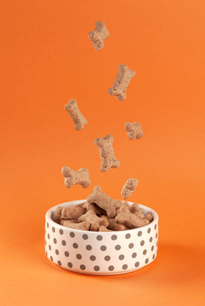 Dog food Dog food falls into a white bowl on a orange background dog food photos stock pictures, royalty-free photos & images