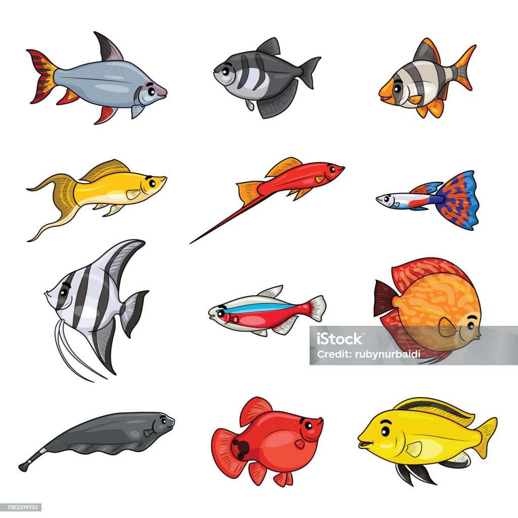 Ilustración de Conjunto De Peces De Dibujos Animados De Acuario De Agua  Dulce y más Vectores Libres de Derechos de Guppy - Pez - iStock