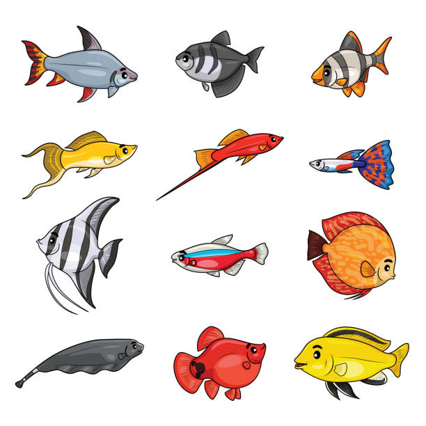 淡水水族館漫画の魚のセット。 - group of object点のイラスト素材／クリップアート素材／マンガ素材／アイコン素材