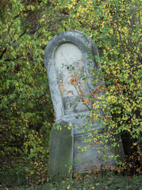 istock An old gravestone in St. Marx Cemetery 1183324044