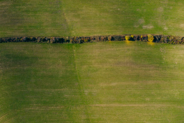 istock agriculture land drone view 1183324979