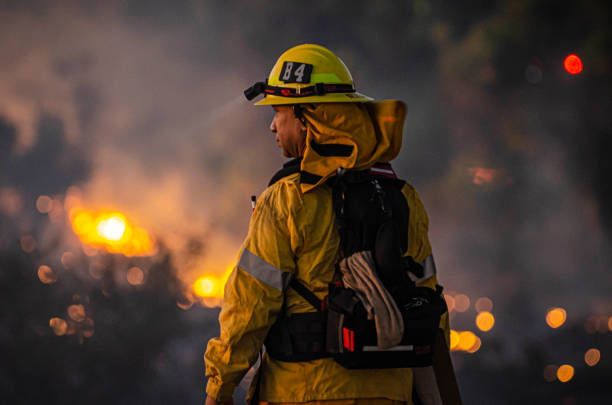 Sepulveda Basin Fire William Riley looks down to the brush fire at Sepulveda Basin on Thursday, Oct. 24, 2019, in Los Angeles, Calif. The fire started out earlier in the afternoon and has caused to burn 50 acres of land.(Photo by Kevin Lendio) firefighter stock pictures, royalty-free photos & images