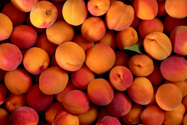 istock Top down view - heap of apricots, with one small green leaf 1183325940