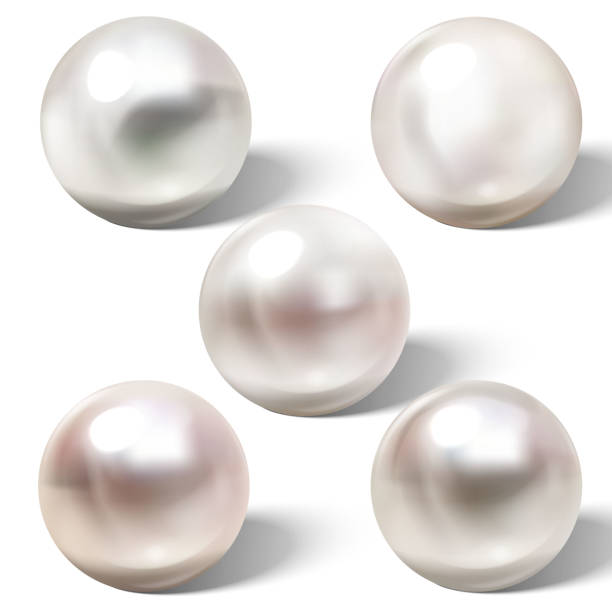 빛 효과가 있는 빛나는 천연 바다 진주 - pearl ring jewelry white stock illustrations