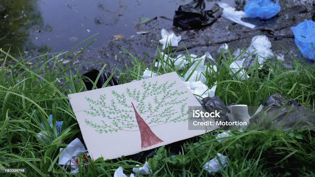 Pittura di alberi sdraiata in discarica vicino al lago forestale, salva il concetto di natura, inquinamento - Foto stock royalty-free di Acqua Pittura di alberi sdraiata in discarica vicino al lago forestale, salva il concetto di natura, inquinamento - Foto stock royalty-free di Acqua