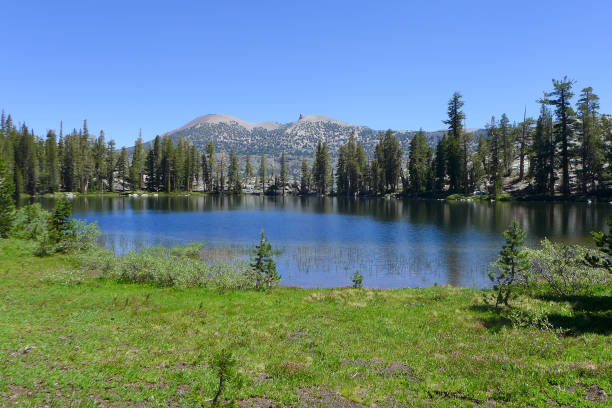 istock Ansel Adams Wilderness, John Muir Trail 1183330098