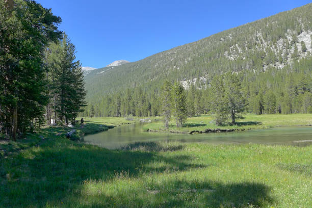 istock Lyell Canyon, Yosemite National Park, John Muir Trail 1183330277