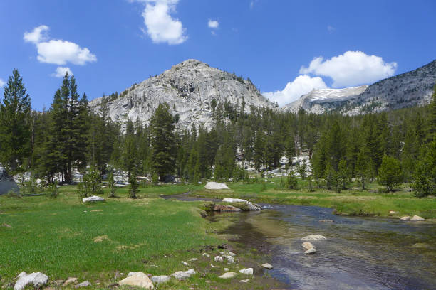 istock Ansel Adams Wilderness, John Muir Trail 1183330686
