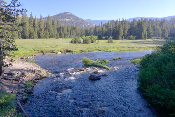 istock Ansel Adams Wilderness, John Muir Trail 1183331119