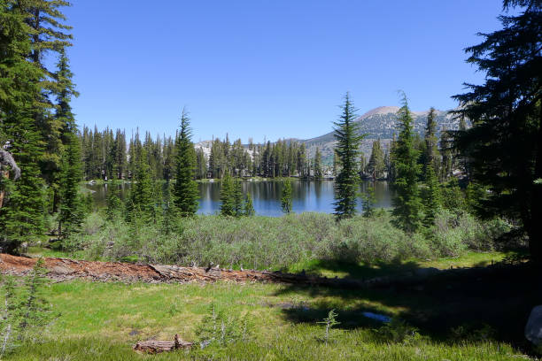 istock Ansel Adams Wilderness, John Muir Trail 1183331234