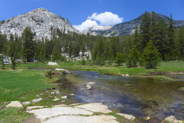 istock Ansel Adams Wilderness, John Muir Trail 1183331338