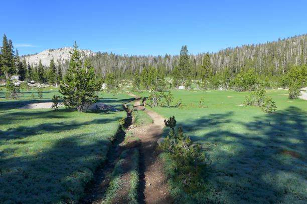 Yosemite National Park, Sierra Nevada