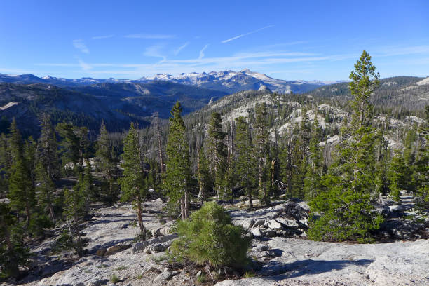 istock Yosemite National Park 1183331652