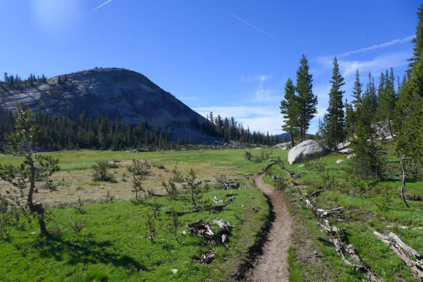 istock Sunrise Meadow, John Muir Trail 1183331735
