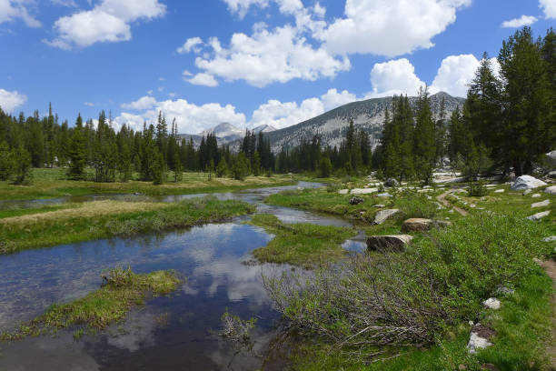 istock Ansel Adams Wilderness, John Muir Trail 1183331743