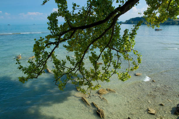 Mainau, August 21, 2018: View on the clear blue water of Lake Constance from the isle of Mainau, Germany