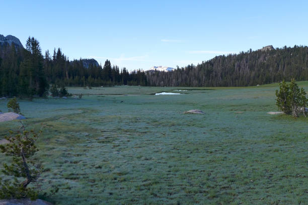 istock Sunrise Meadow, John Muir Trail 1183332631