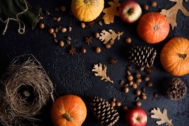 istock Autumn frame of pumpkins, tree leaves, hazelnuts on a black textural background. Autumn, fall, thanksgiving concept. Flat lay, copy space. 1183334024