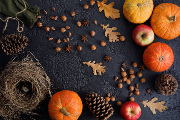 istock Autumn frame of pumpkins, tree leaves, hazelnuts on a black textural background. Autumn, fall, thanksgiving concept. Flat lay, copy space. 1183334061