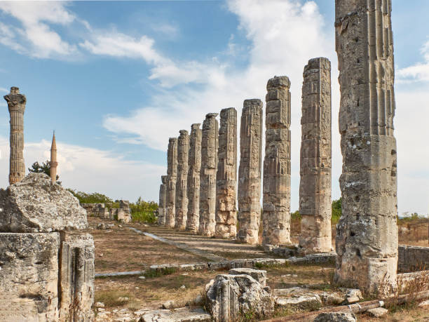 zeus olbios tapınağı'nın korynthian sütunları, helenistik dönemin antik anadolu mimarisi - tyche stok fotoğraflar ve resimler