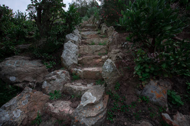 Mysterious looking steps in a dark green garden
