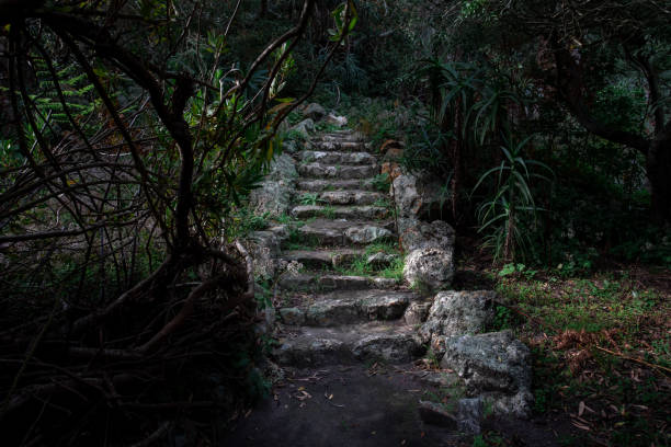 istock Mysterious looking steps in a dark green garden 1183334460