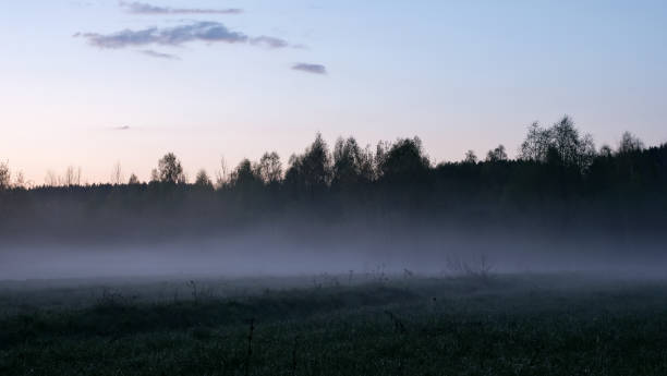 istock Magnificent heavy morning mist in landscape. 1183334505