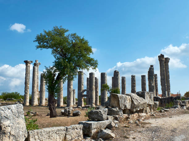Corinthian columns of Zeus Olbios Temple, ancient Anatolian architecture of the Hellenistic period Corinthian columns of Zeus Olbios Temple, ancient Anatolian architecture of the Hellenistic period in the Roman province of Isauria, in present-day Uzuncaburc, Silifke, Mersin province, Turkey uzuncaburc stock pictures, royalty-free photos & images