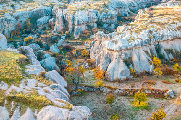 valle della cappadocia in turchia. vista da un cesto di mongolfiera durante il volo. - cappadocia hot air balloon turkey basket foto e immagini stock