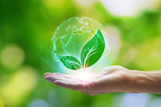 istock Hand holding with leaf icons in the Earth Network connection on nature background, Technology ecology concept. Environmental protection concept 1183337114